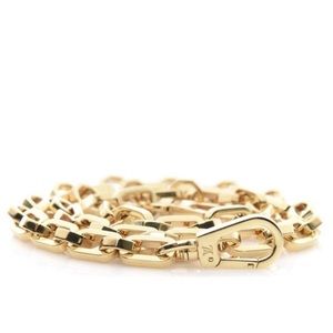 Louis Vuitton Chunky Gold Tone Chain Strap